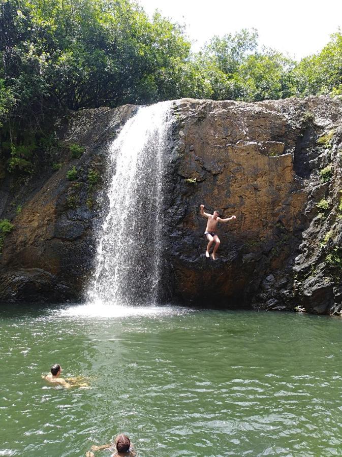 Green Discovery B&B Tamarind Falls 7 Cascades Henrietta Ngoại thất bức ảnh